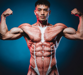 Bor Hem Kaslar Hem De Saçlar İçin İyi Bir Besin Maddesi Mi?