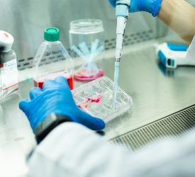 Eksozom Tedavisi Nedir? Saç Dökülmesi ve Cilt Yenilemede Yeni Nesil Yaklaşım