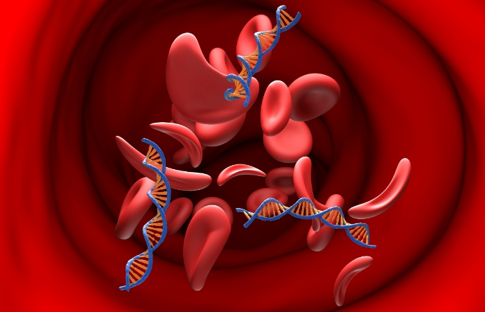 PRP Nedir? Ne İşe Yarar?
