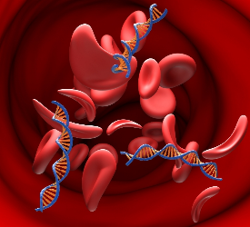PRP Nedir? Ne İşe Yarar?